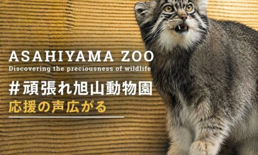 旭山動物園職員による妻遺体焼却炉遺棄事件 動物園は5月1日開園へ #頑張れ旭山動物園 応援の声広がる