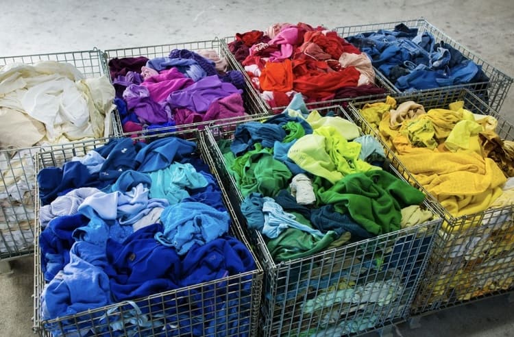 廃棄繊維を色で分けるcolourloopの独創的な循環経済