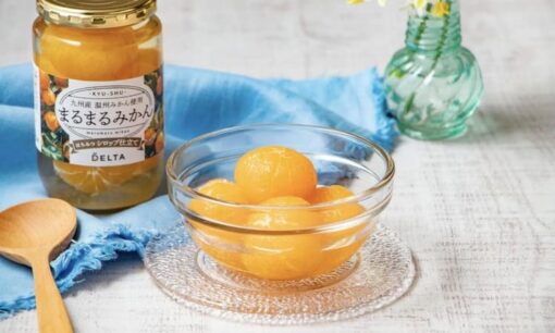 デルタインターナショナルが挑む規格外みかんを救う究極の再生術