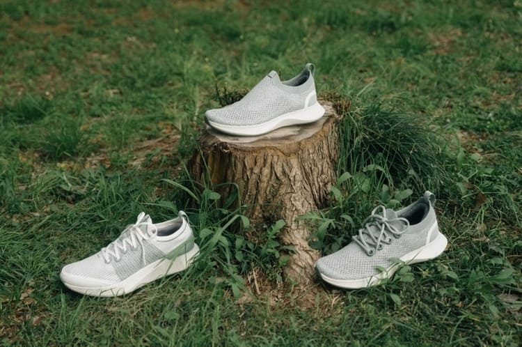 ゴミ山に消える靴を救え　Allbirdsが仕掛ける循環革命の裏側