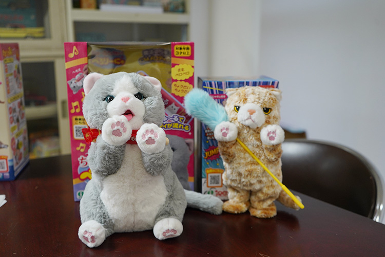 イワヤの跳んでもキャット