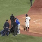ヤクルト対DeNA戦で球審にバット直撃 川上審判員が緊急手術、現在は集中治療室で治療中 NPB発表「極めて重大な事案」