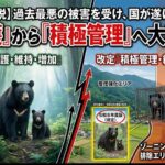 過去最悪の被害を受け、国が動いた！保護から積極管理へ転換した環境省の最新クマ対策ガイドライン