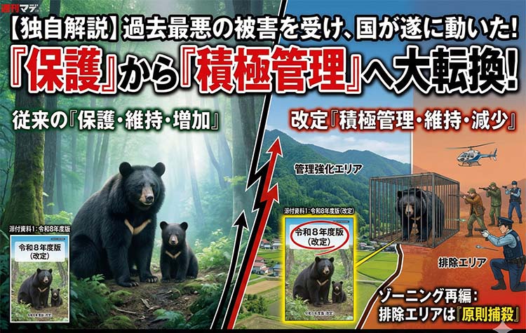 クマ対策、環境省ガイドライン