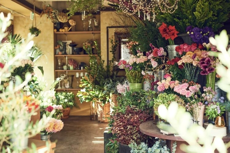 リベルテが挑む吸水スポンジ削減と環境に配慮した花贈りの革新