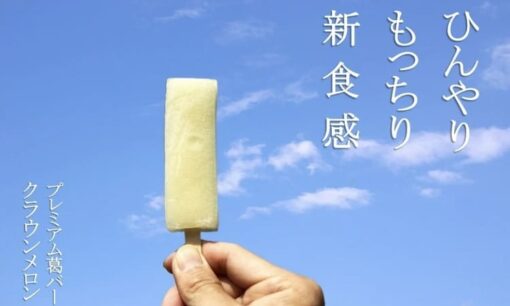 メロー静岡が廃棄完熟メロンを和スイーツへ再生し収益化へ