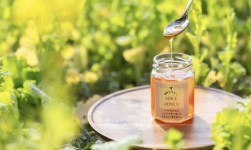 TOAシブルが挑む産廃と養蜂の融合　地域を救う黄金の雫