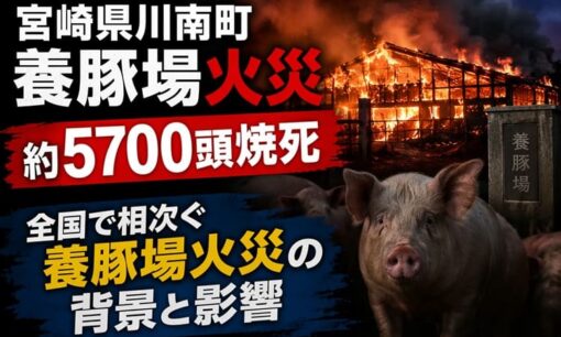 宮崎県川南町養豚場火災 約5700頭焼死 全国で相次ぐ養豚場火災の背景と影響