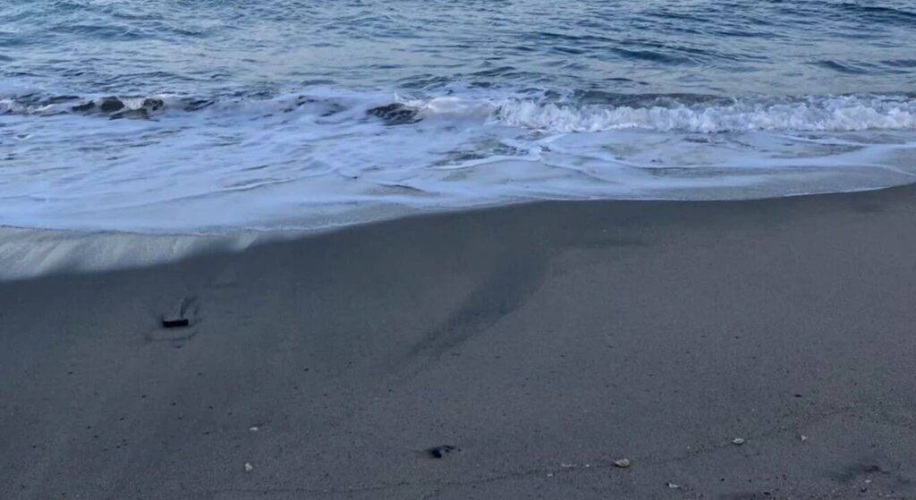 辺野古ボート転覆事故遺族メモ使用画像　浜辺の写真