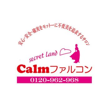 有限会社ふぁるこん