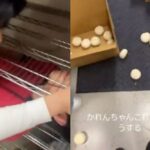 【炎上】ピザーラ蒲田店で個人情報“丸出し”動画拡散　過去最悪レベルとの声