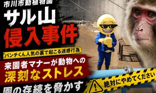 市川市動植物園サル山侵入事件 パンチくん人気の裏で起こる迷惑行為 来園者マナーが動物への深刻なストレス誘発