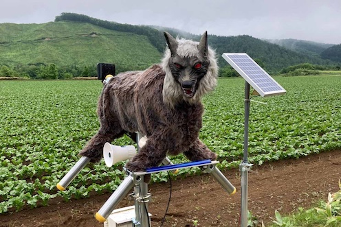 モンスターウルフ