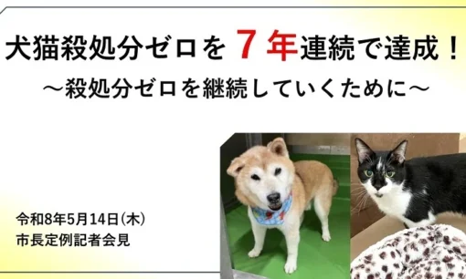 奈良市、犬猫殺処分ゼロを7年連続達成。寄付金は累計1億6100万円に