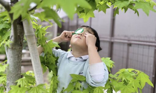 志のぶ幼稚園が挑む、園庭体験格差への一手　「Wonderland Story」で自然と出会う入口をつくる