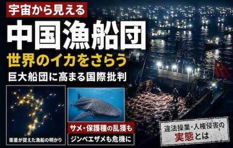 宇宙から見える中国漁船団　世界のイカをさらう巨大船団に高まる国際批判
