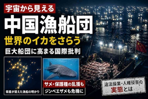 中国 乱獲