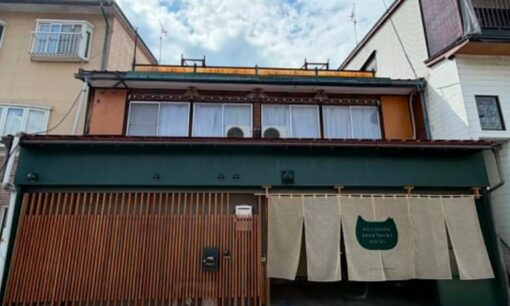 飛騨市がふるさと納税で挑む、猫を起点にした地方創生「SAVE THE CAT HIDA」プロジェクト