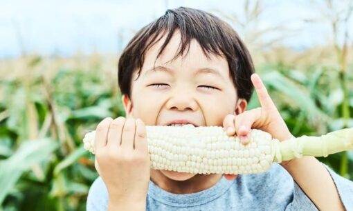 AGRIKOが高輪ゲートウェイで挑む ビル内循環農業の全貌