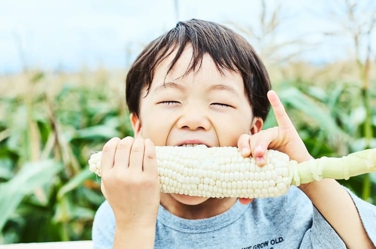 高輪ゲートウェイAGRIKOが挑むビル内循環農業の全貌