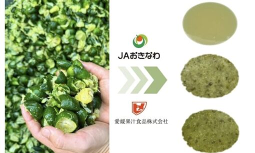 愛媛果汁食品が挑む地域循環シークヮーサー果皮の再生劇