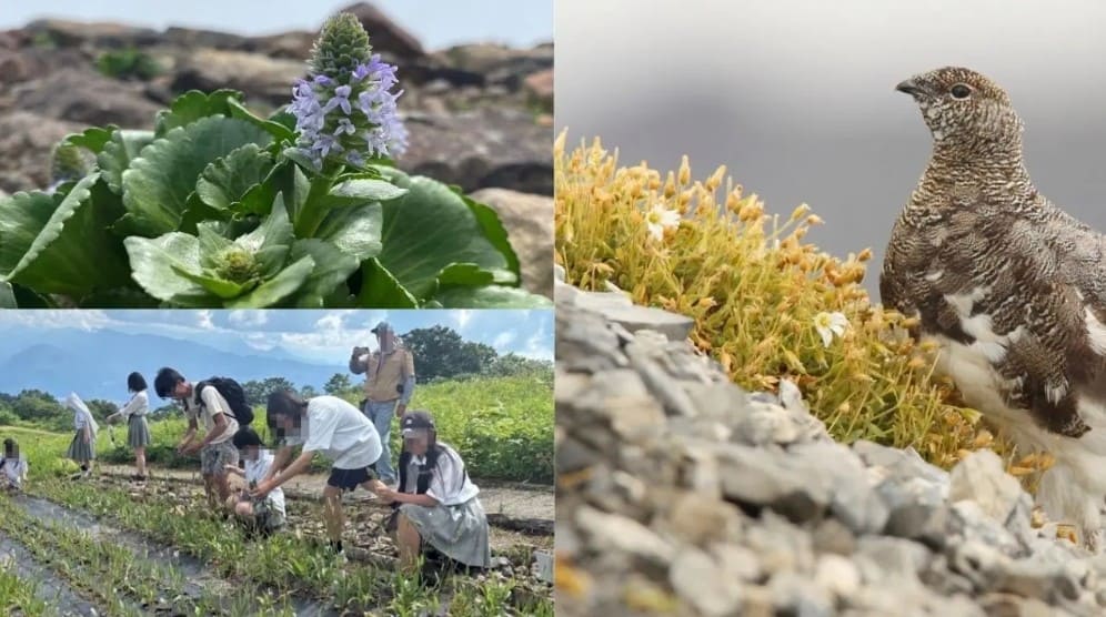 白馬五竜高山植物園が環境大臣賞を受賞。