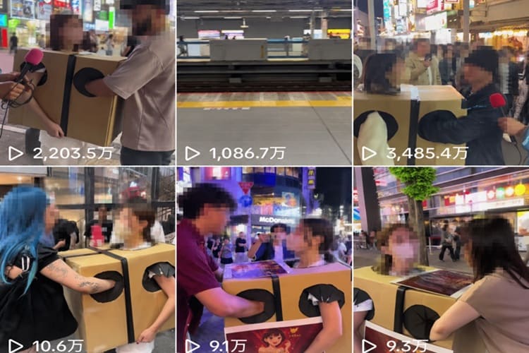 「箱の中身は何だろな」 さーちゃん　TikTok