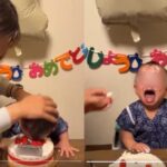 1歳児ケーキ強制押し付け TikTok母親動画が大炎上　親の承認欲求が子供の尊厳を踏みにじる異常事態