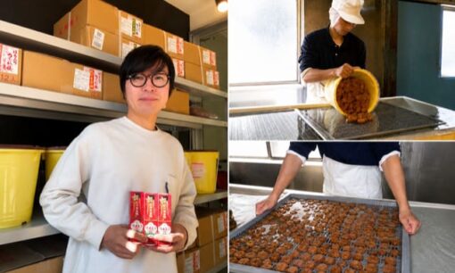 梅星食品が挑む、捨てられるはずだった梅の新しい届け方