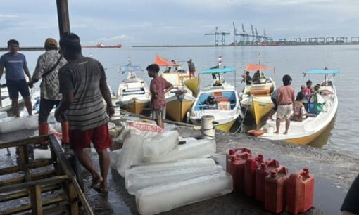 ベンナーズが挑む未利用魚ビジネスの海外進出と持続可能な未来