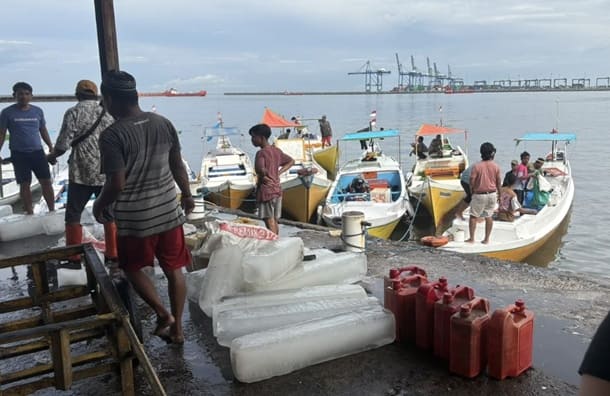 ベンナーズが挑む未利用魚ビジネスの海外進出と持続可能な未来