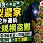 福岡うきは市 梨農家2年連続大規模盗難 約5000個被害で閉園決断  メルカリ出品にXで注目