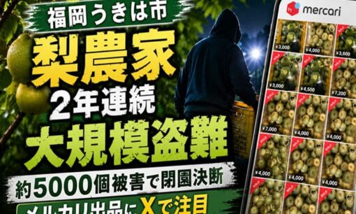 福岡うきは市 梨農家2年連続大規模盗難 約5000個被害で閉園決断  メルカリ出品にXで注目