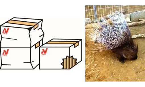 外箱が壊れて売れない冷凍野菜を動物園へ。ニチレイフーズが千葉市と挑むフードロス削減