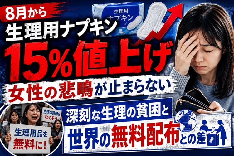 生理用ナプキン 値上げ