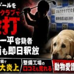 ラブラドールをゴルフクラブで殴打し逮捕の仲井一平容疑者  即日釈放後インスタ投稿でSNS大炎上