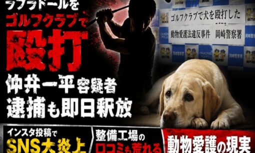 ラブラドールをゴルフクラブで殴打し逮捕の仲井一平容疑者  即日釈放後インスタ投稿でSNS大炎上