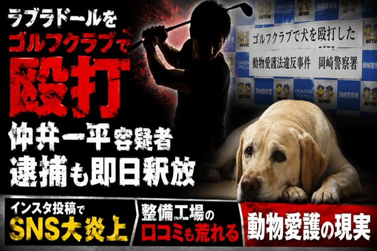 ラブラドルレトリバー　虐待　逮捕　大炎上