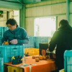 遊休農地を再び実りの畑へ、今治の柑橘守るMOriTO Farming