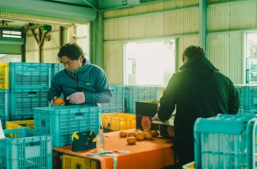 株式会社 今治あきない商社 MOriTO Farming