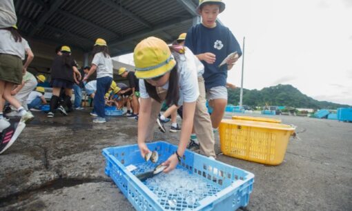 漁港を学びの場に、保田漁港で小学生向け水産・食体験を初開催