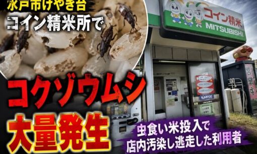 水戸市けやき台コイン精米所でコクゾウムシ大量発生  虫食い米投入で店内汚染し逃走した利用者