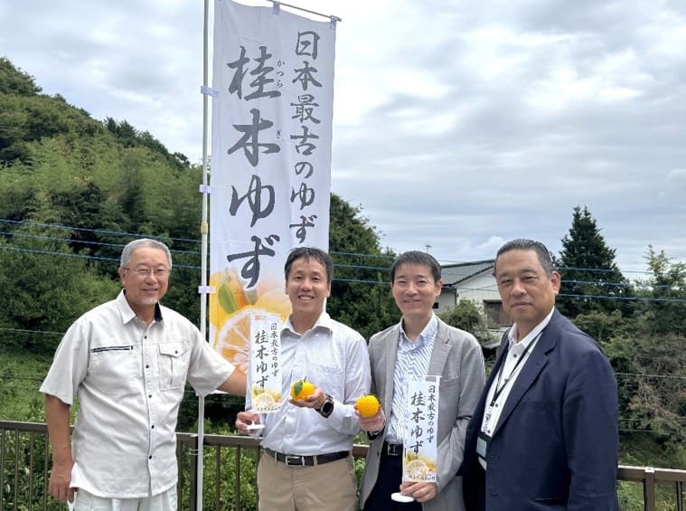 日本最古のゆず　桂木ゆず