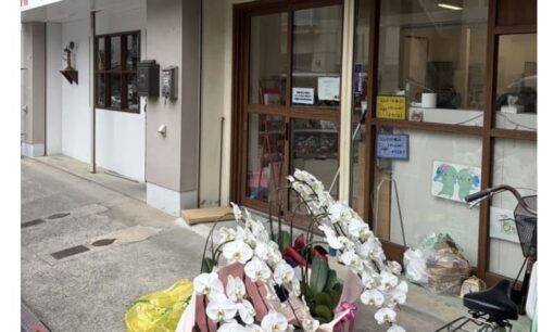 オフィスフラワーサービスが挑む胡蝶蘭の完全循環と福祉連携の現在地