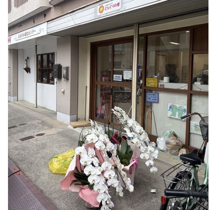 オフィスフラワーサービスが挑む胡蝶蘭の完全循環と福祉連携の現在地