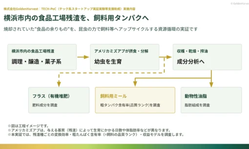 GoldenHarvest、横浜市TECH-PoCに採択 食品残渣をミズアブで飼料タンパクに