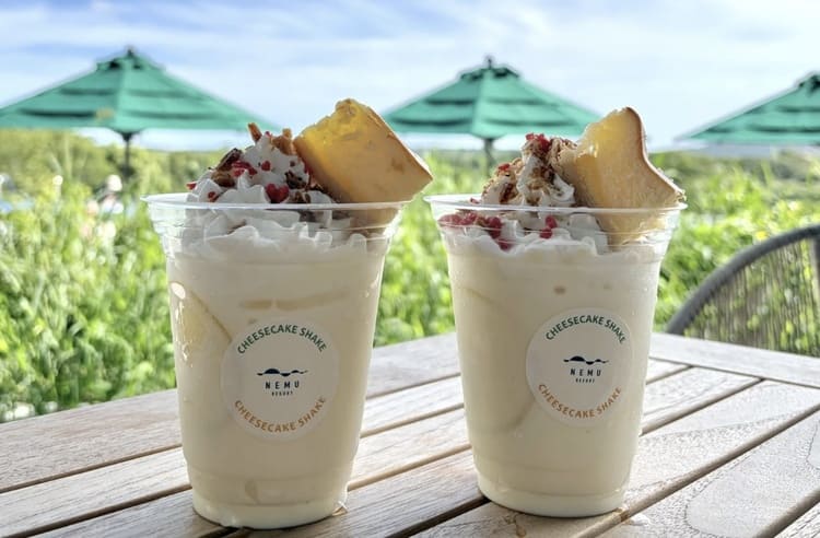 NEMU RESORTの名物チーズケーキから考える食品ロス削減の着想