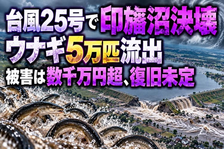 台風25号　印旛沼　決壊　うなぎ
