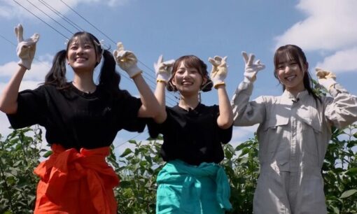 アソビシステム、アイドルが農業・工芸を発信 新企画「KAWAII FARM」始動