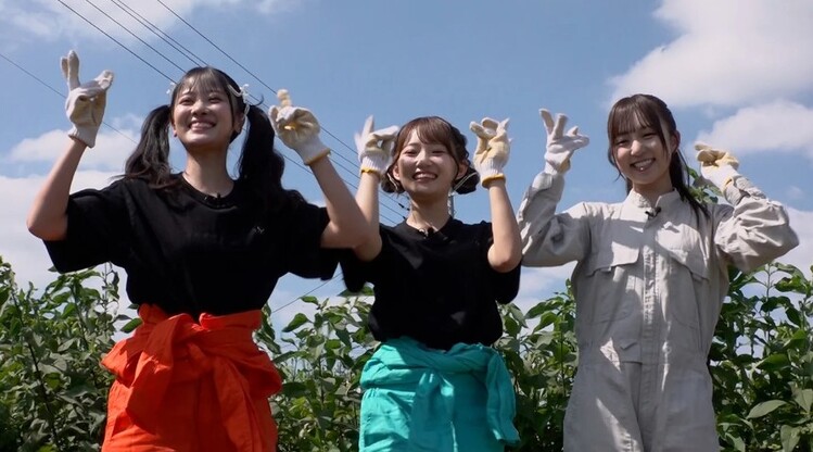 kawaii farm